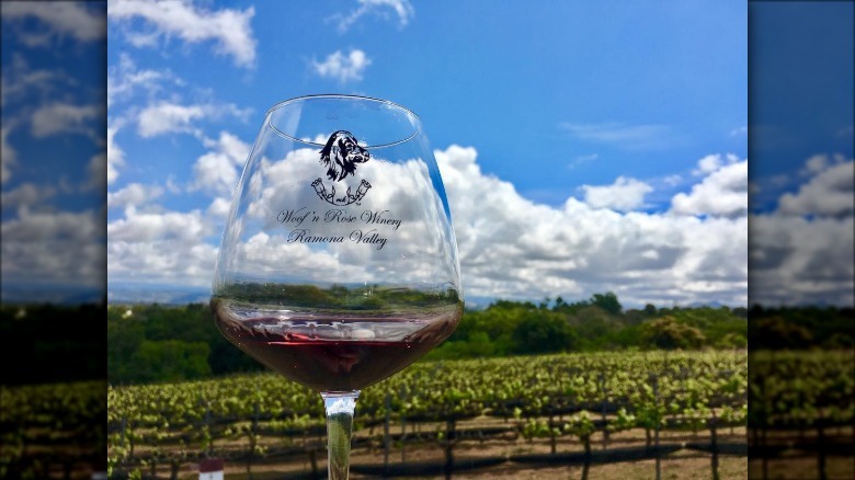 Glass of wine in front of vineyards in Ramona, California