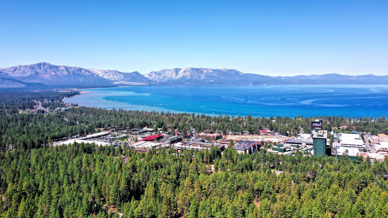 A view over the woods and houses of South Lake Tahoe