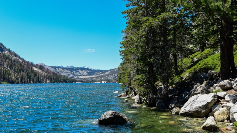 Lower Echo Lake surrounded by lush trees and boulders.