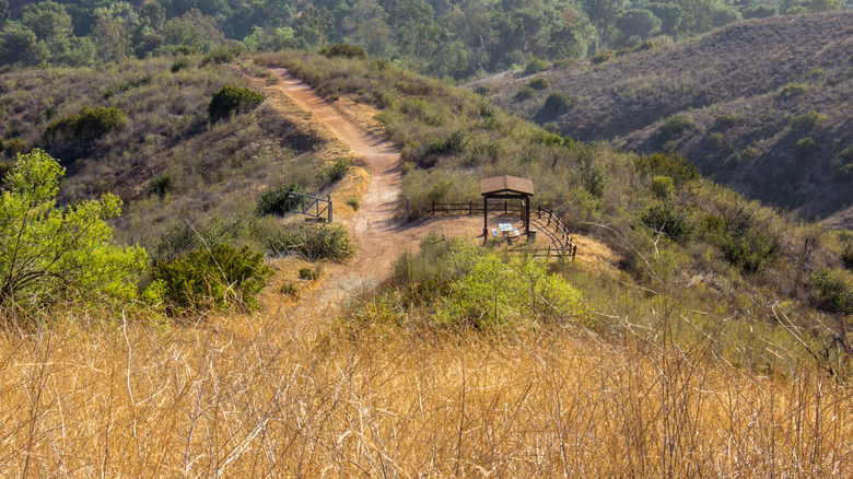 Hiking path in Santiago Oaks Regional Park