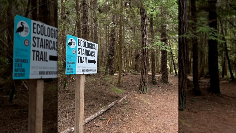 Sign pointing towards the entrance of the Ecological Staircase Trail in Jug Handle State Natural Reserve in California