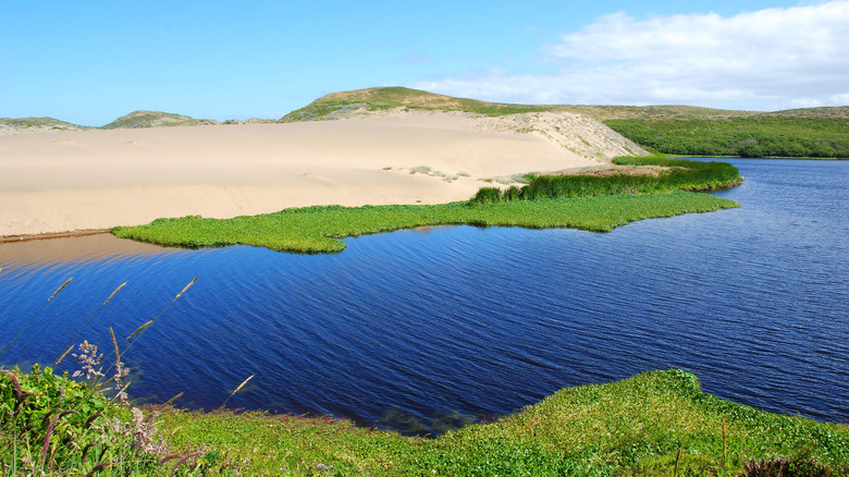 Abbotts Lagoon on the Point Reyes National Seashore
