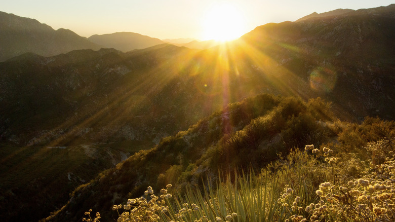 Sunset over the San Gabriel Mountains and wildflowers in the Angeles National Forest near Sturtevant Falls Trail
