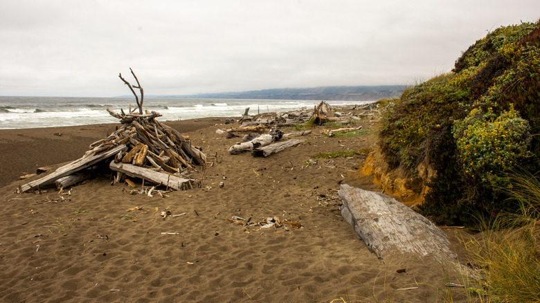 Manchester Beach State Park in Mendocino County, California