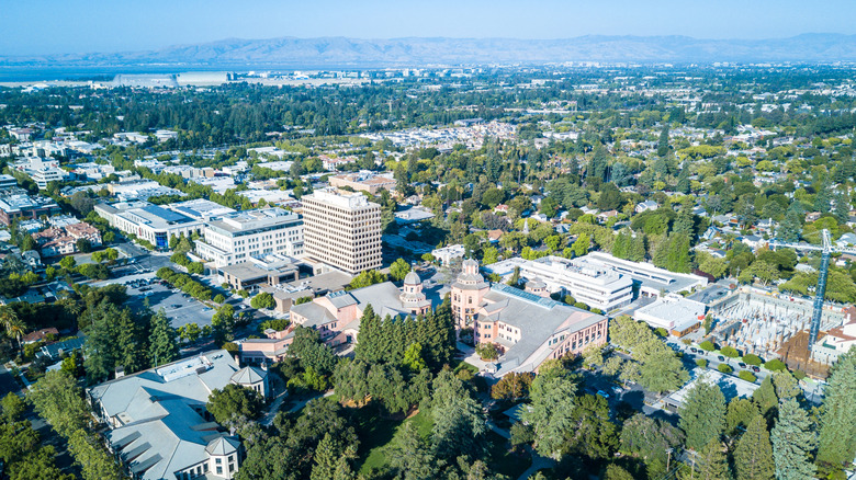 buildings and trees in downtown Mountain View
