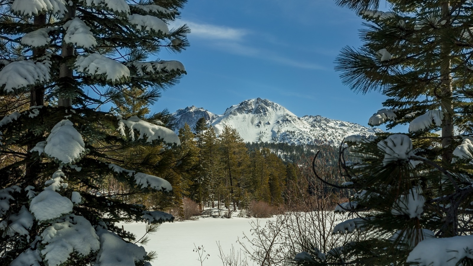 California's Snowiest National Park Is A Wildly Underrated Breathtaking ...