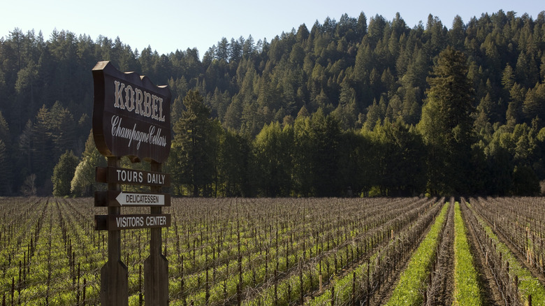 Sign for Korbel Winery in front of vineyards