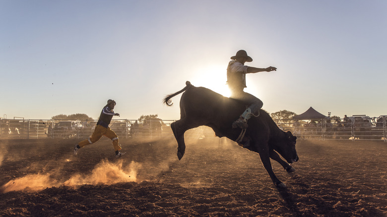 Cowboy riding a bull in a rodeo