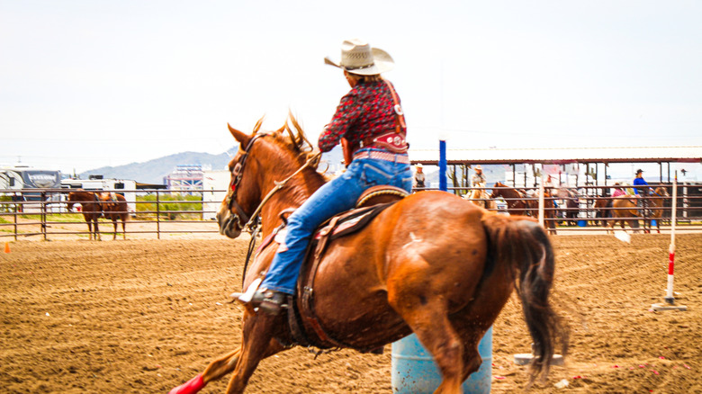 Woman riding a horse rodeo style in the desert