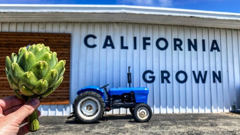 An artichoke being held in front of a warehouse that reads "California Grown" on the side, with a blue tractor before it