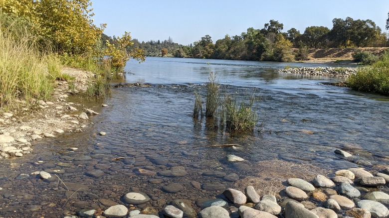 River views at Ancil Hoffman Park in Carmichael, California