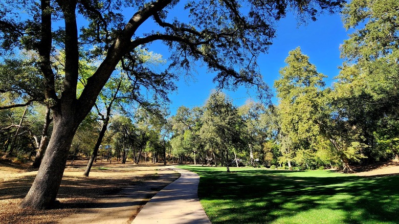 Tree-lined path at Jensen Botanical Garden in Carmichael, California