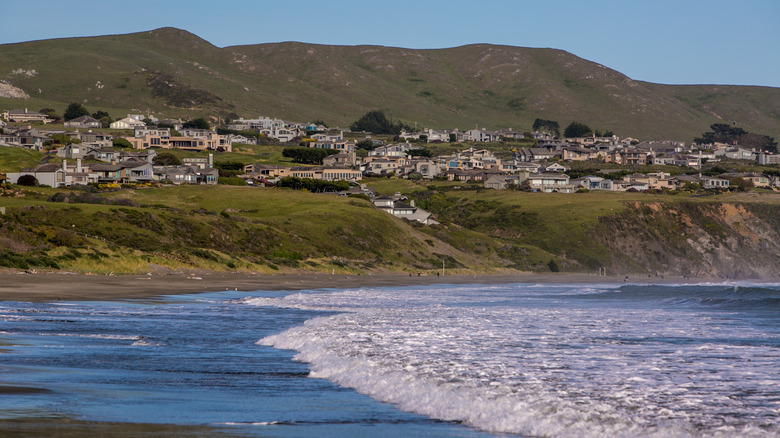 View of the coast of Bodega Bay