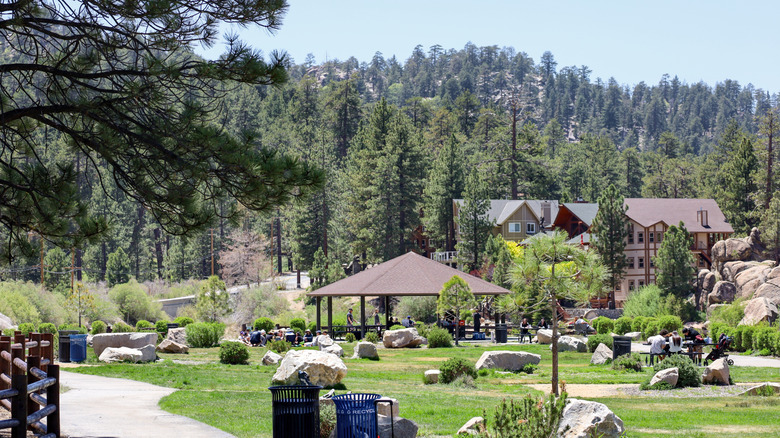 View of Boulder Bay Park in the Big Bear Lake area of California during the day with people in the park.