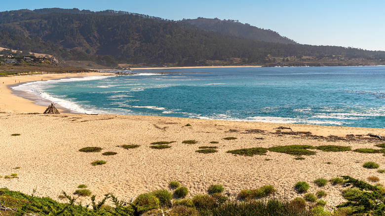 Yellow sand and blue ocean in Carmel River State Beach, California