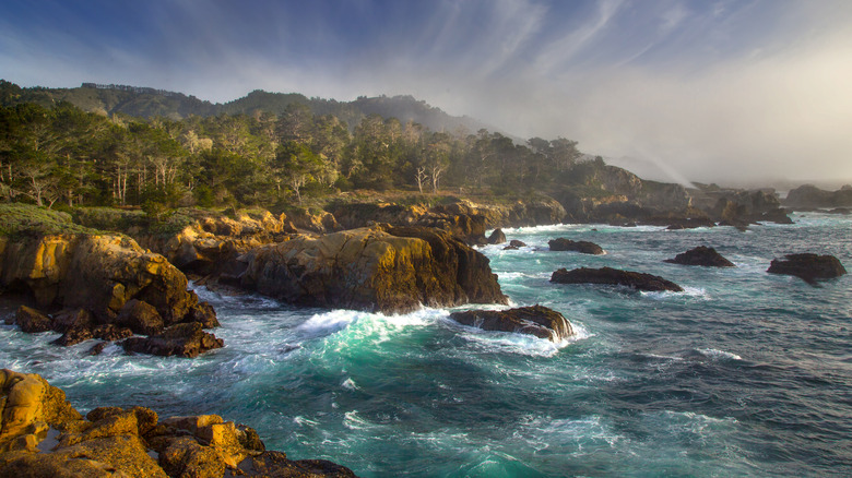 The rugged, wooded coastline of Point Lobos, close to Carmel Meadows Beach