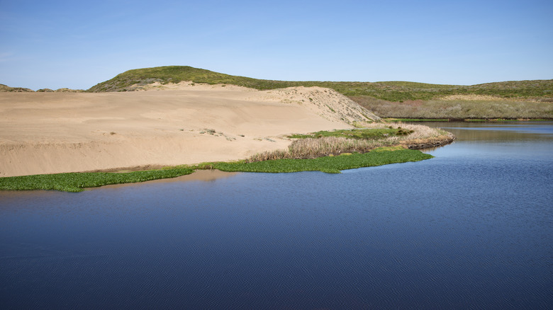 An empty beach and sand dunes at Abbotts Lagoon in California