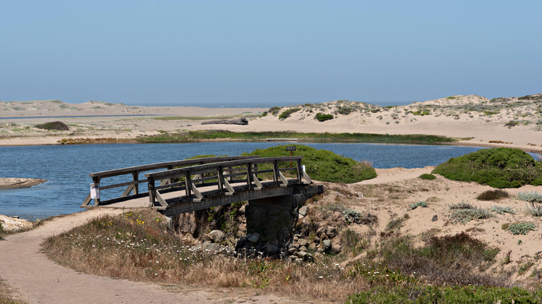 A footbridge and path leading to the beach at Abbotts Lagoon, California