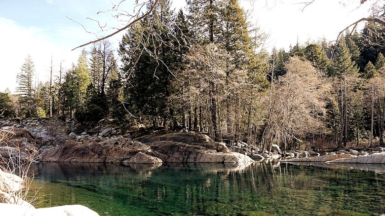 Trees and rocks at Emerald Pools in the Tahoe National Forest in California