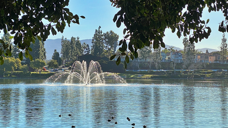 A fountain on a pond in Chula Vista, California