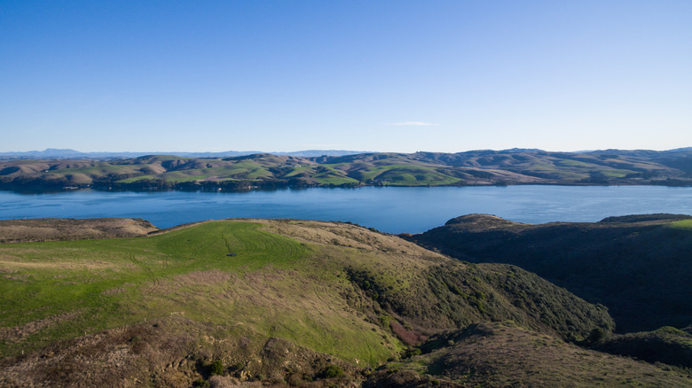 Grassy, rolling hills and the clam bay at Tomales Bay State Park, California.