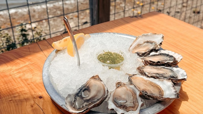 A plate with a half dozen oysters at the Marshall Store, near Tomales Bay State Park, California.
