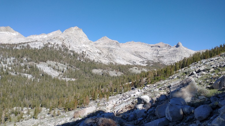 Mountains and forests in the Mineral King valley