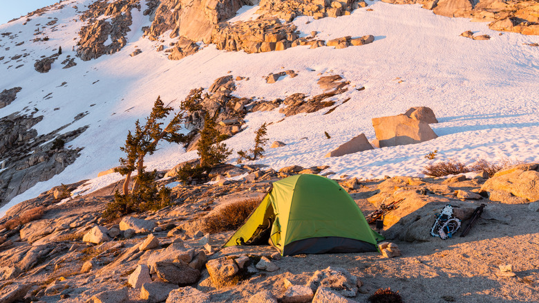 A backpacker camping on a mountain in the Mineral King valley