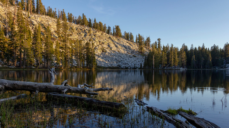 The placid surface of Weaver Lake in California surrounded by trees and a rocky mountain