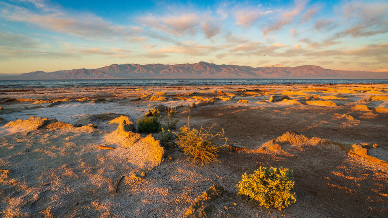 Salton Sea near Imperial, CA