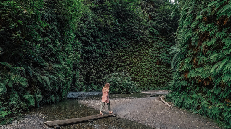A girl walking through Fern Canyon gorge in Prairie Creek Redwoods State Park, California