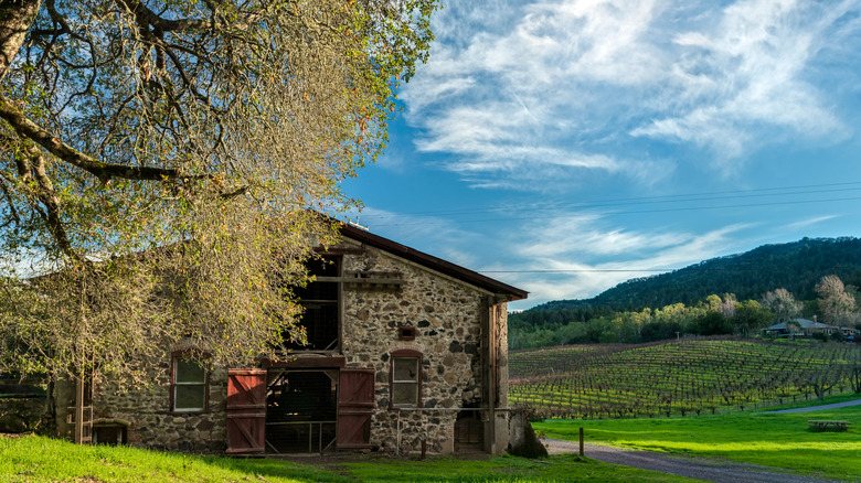Jack London Historic State Park