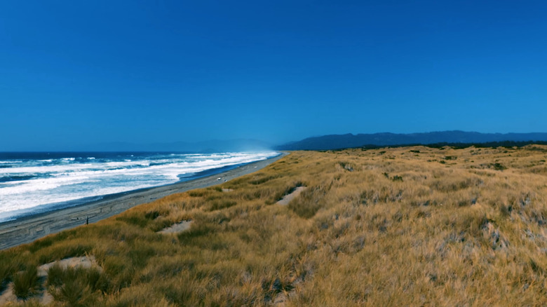 Grass and the beachy coast at Tolowa Dunes State Park in California