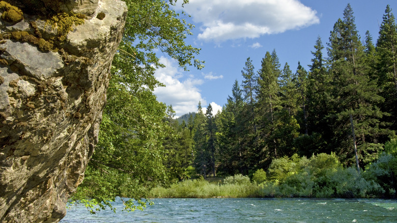 Trinity River in Weaverville