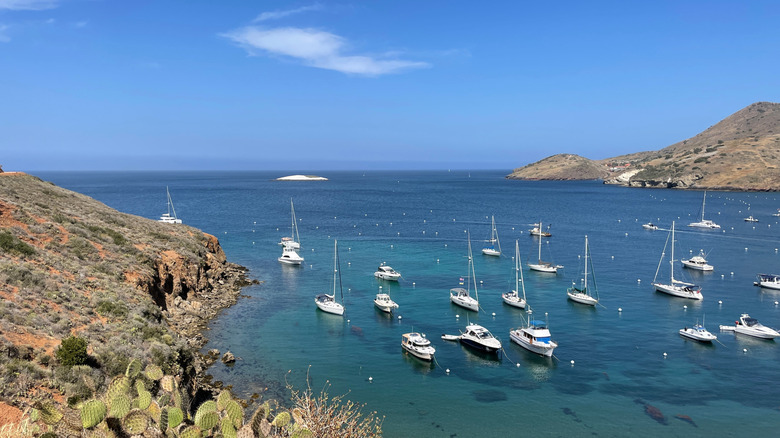 Boats at Two Harbors, Catalina Island