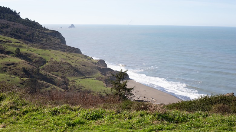 Ocean overlook in Ferndale, California