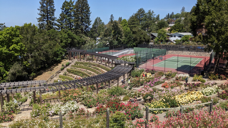 Berkeley Rose Garden with tennis court and homes in the distance