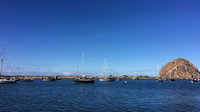 A view from a guest room at 456 Embarcadero Inn & Suites