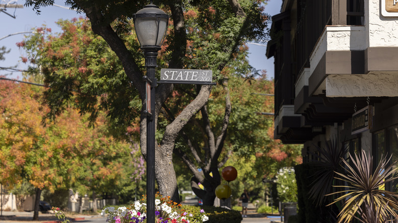 Lamp posts and trees lining downtown Los Altos