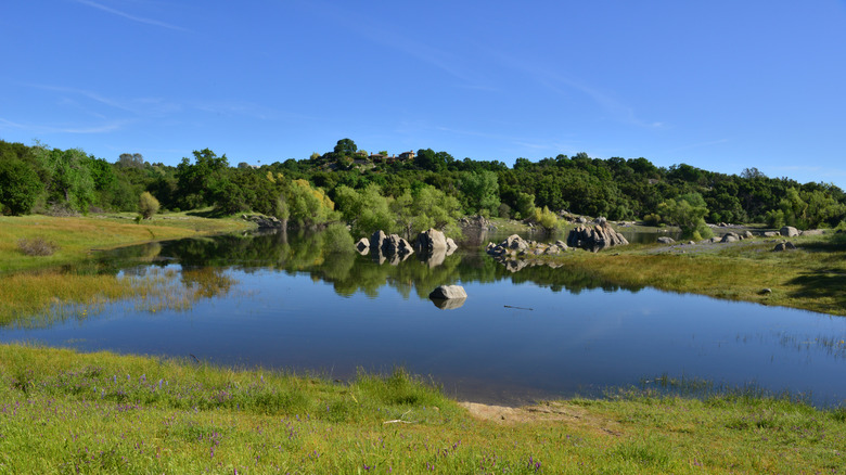 Folsom Lake on a sunny day