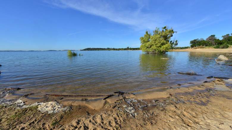 A sandy shore along Folsom Lake, California