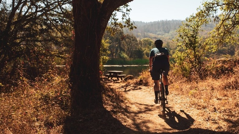 A mountain biker rides down a tree-lined path to a picnic table next to Lake Ilsanjo