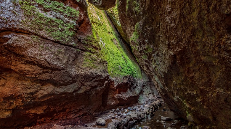 Bear Gulch mossy caves at Pinnacles National Park