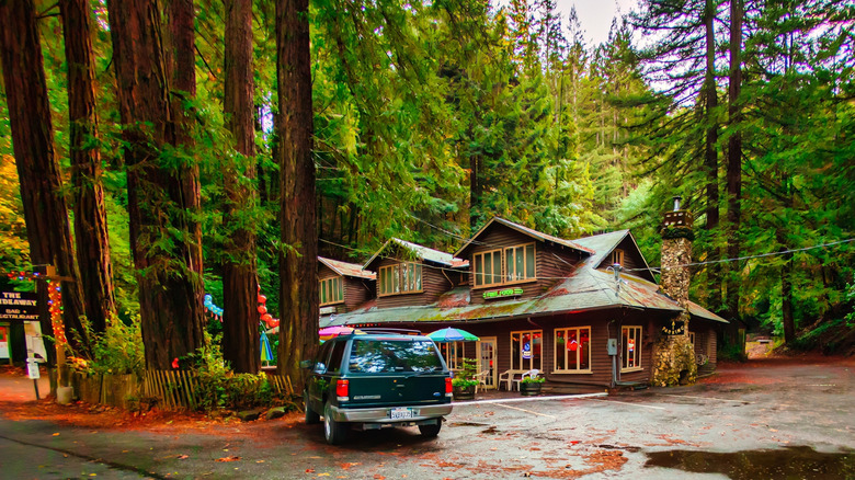 Lodge and parking lot in the forest