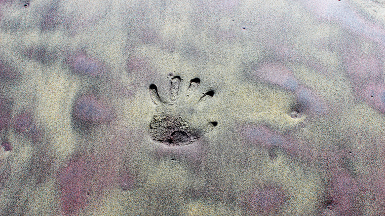 A handprint marks Pfeiffer Beach's wet surface, were streaks of purple sediment color the sandbanks