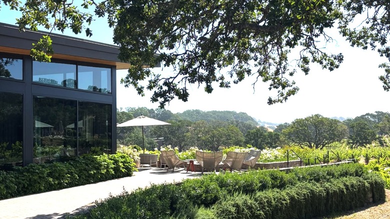 Lush greenery surrounding a glass building and patio with chairs overlooking distant sky and mountains.