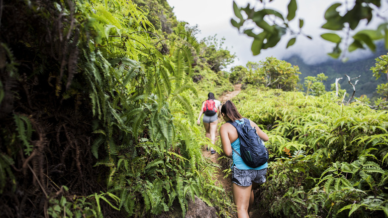 Two female hikers on a trail in Hawaii surrounded by green vegetation
