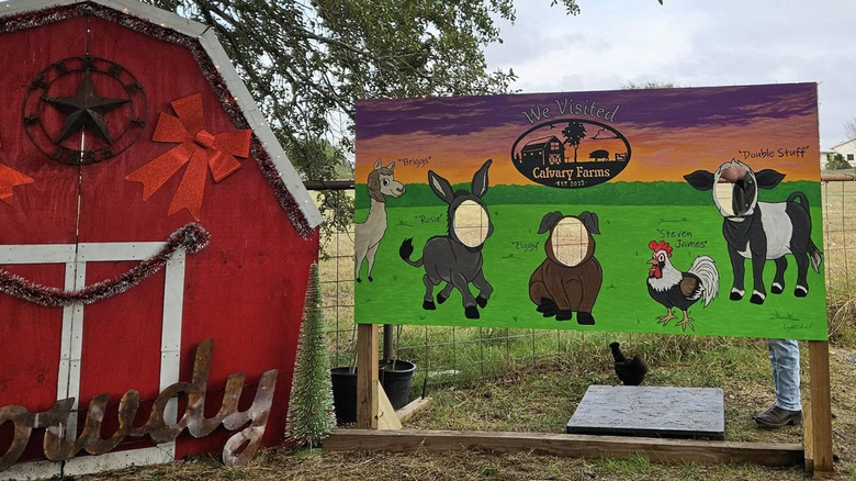 Calvary Farms sign and miniature barn