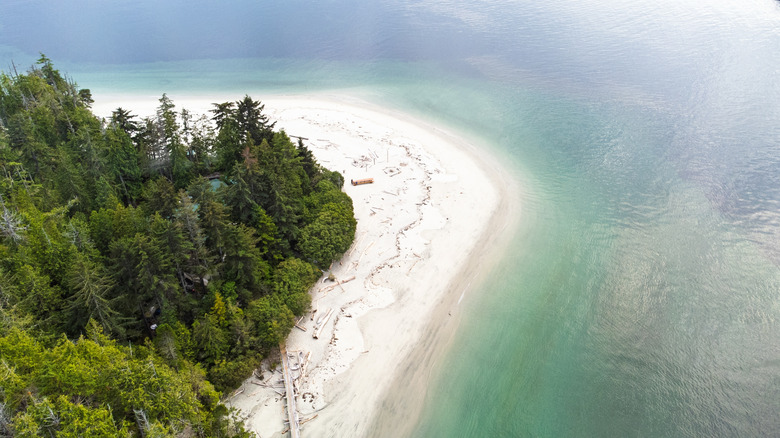A sandy beach and turquoise water at Calvert Island, British Columbia