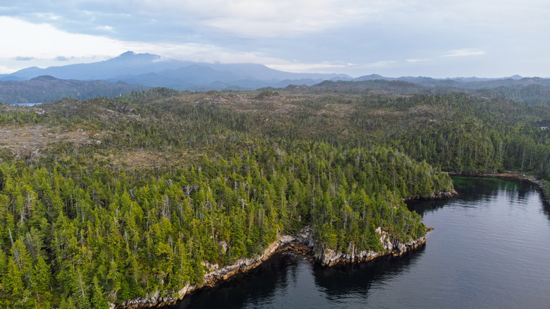Aerial view of Calvert Island, British Columbia, with mountains in distance